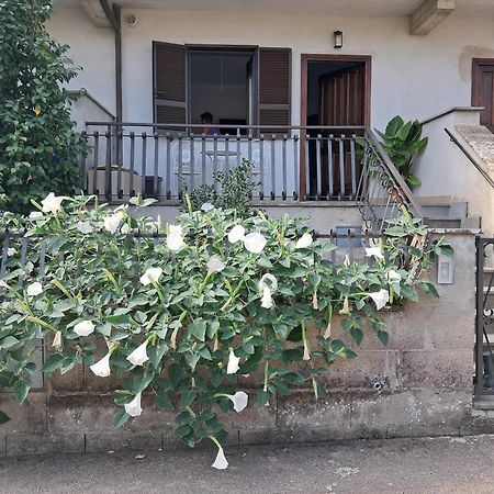 דירות באנורג'יו A Casa Ida מראה חיצוני תמונה