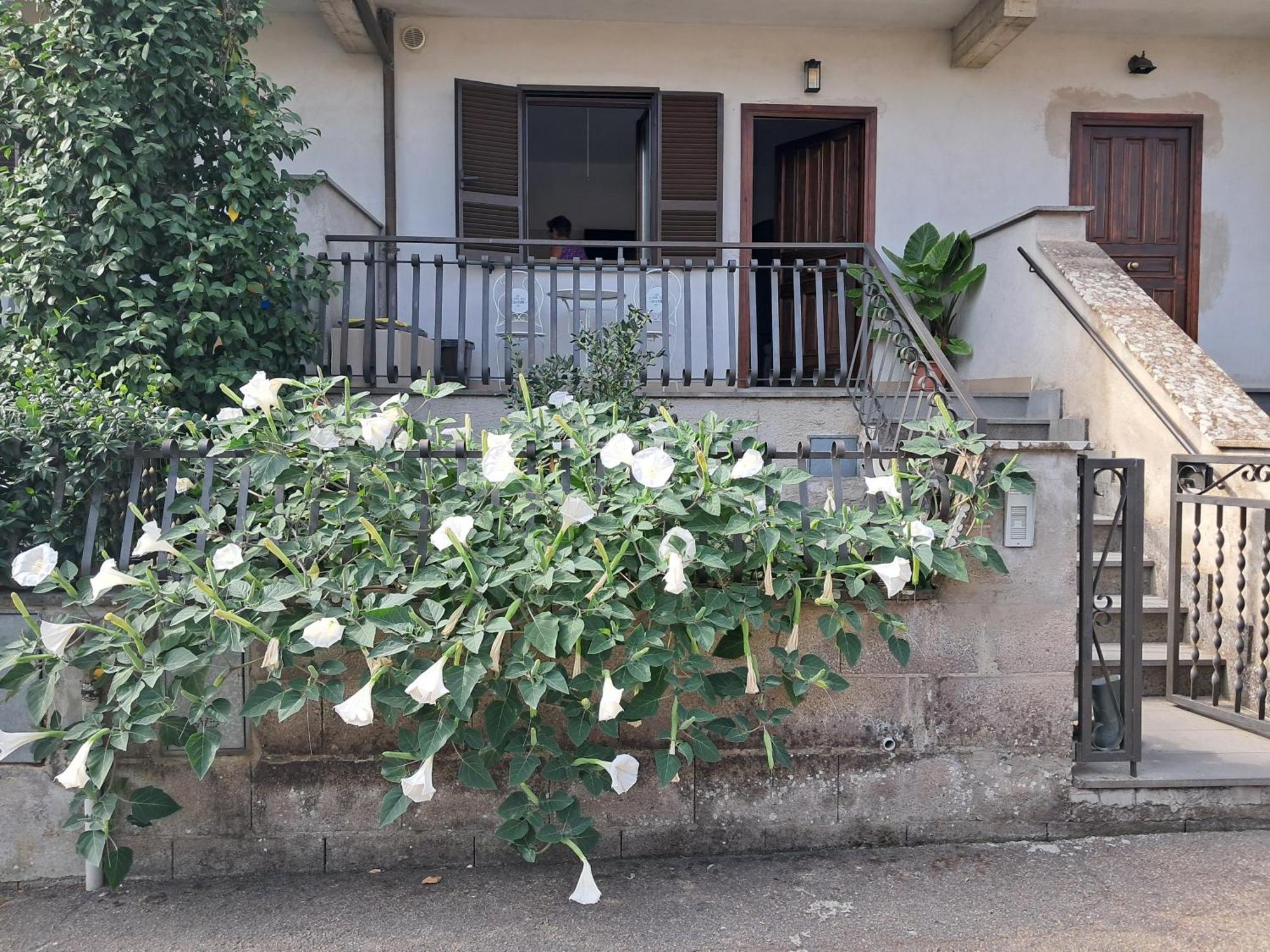 דירות באנורג'יו A Casa Ida מראה חיצוני תמונה